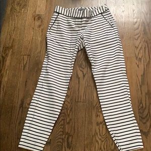 Express Columnist Dress Pants